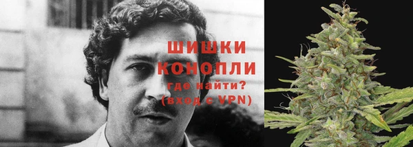 соль ск Вяземский