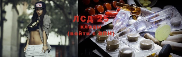 соль ск Вяземский