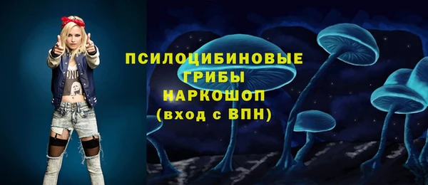 соль ск Вяземский