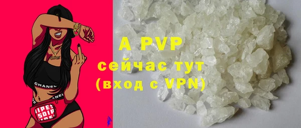 ПСИЛОЦИБИНОВЫЕ ГРИБЫ Артём