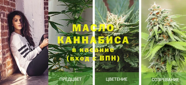 ешки Вязьма