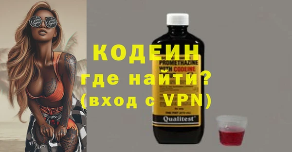 соль ск Вяземский