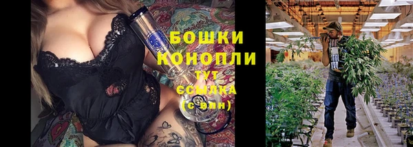 соль ск Вяземский