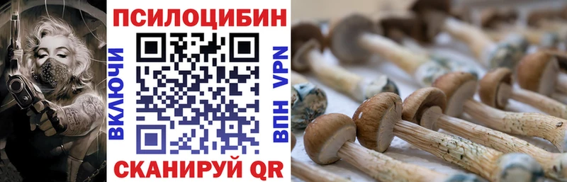 купить   Зея  hydra ссылка  Псилоцибиновые грибы MAGIC MUSHROOMS 