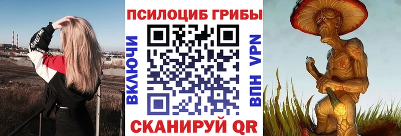 Псилоцибиновые грибы Magic Shrooms Зея